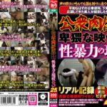 公衆肉便器 卑猥な映像 性暴力の現状3 25人